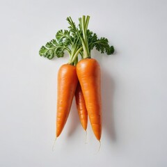 fresh carrots on a white background