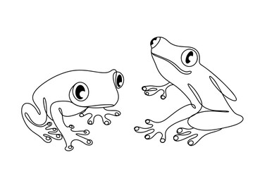 Two frogs. Frog. Tropics