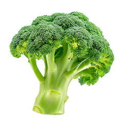 Broccoli on transparent background Remove png