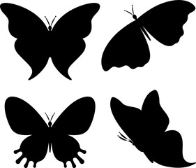 Butterfly illustration set