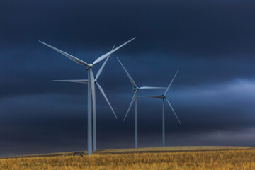 wind turbine in the field