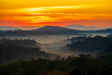 The stunning view from a tourist's standpoint as they go down a hill on a foggy trail with a hill and a background of a golden sky in Forest Park, Thailand. Rainforest. Bird's eye view. Aerial view.