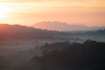 Fototapeta premium The stunning view from a tourist's standpoint as they go down a hill on a foggy trail with a hill and a background of a golden sky in Forest Park, Thailand. Rainforest. Bird's eye view. Aerial view.