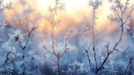 Close-up of frost and snow crystals on a window pane with a warm sunrise in the background