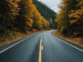 Fototapeta premium road in autumn forest