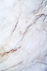 Elegant White Marble Texture with Delicate Veins