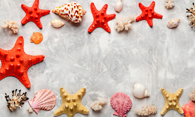 shells and starfish
