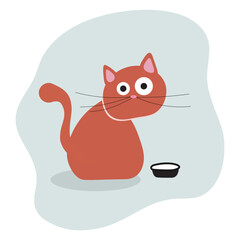 Red doodle cat and cat's bowl