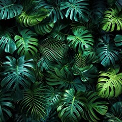 Fototapeta na wymiar Background Intertwined Leaves Lianas Monstera Palm Leaves Decoration Spaces