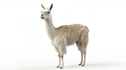 Dekokissen A charming 3D llama with an adorable expression, soft pastel colors, and a fluffy mane, on a clean white background. Perfect for adding a playful touch to your designs. © stocker