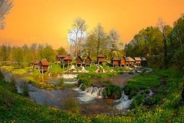 Fototapety na wymiar - Fototapeta24.pl