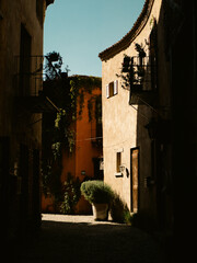 castle in the sunset