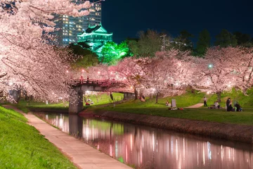 Tuinposter 岡崎城と桜 © ブローハイ