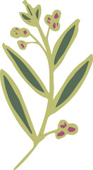Olive branch, palm branch, laurel, willow, illustration on transparent, png