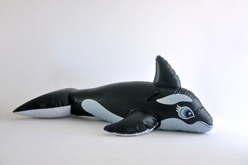 orca animal boia de piscina 