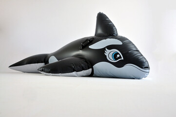 orca animal boia de piscina  © Alexandre