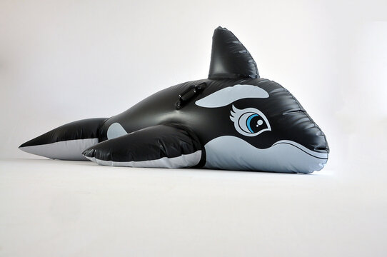 orca animal boia de piscina 