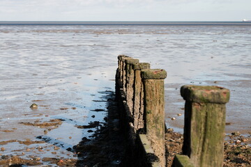 Wooden wave breakers on the beach during low tide