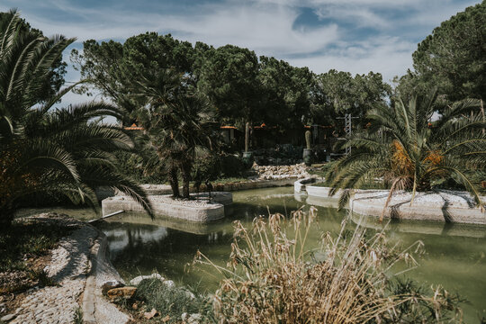 Plano general de un estanque de agua de un jard&iacute;n privado con palmeras.