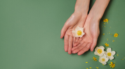 Female hands and meadow flowers on a green background. View from above. - 738246606