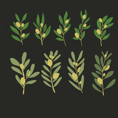 Vector olive brunch set. simple illustration for your design