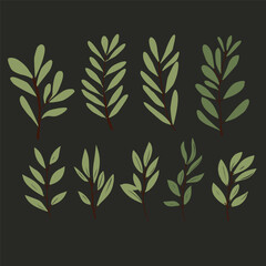 Vector olive brunch set. simple illustration for your design