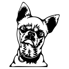 Peeking Chihuahua - Dog lover owner gift - Dog cut file - Peeking Dog Cut Stencil