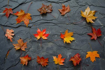 Autumn leaves on textured slate background. seasonal Colorful display