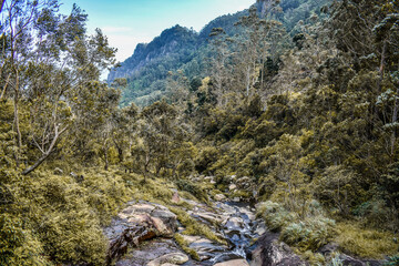 A waterfallwater stream in Devil's Staircase, Ohiya, Sri Lanka.