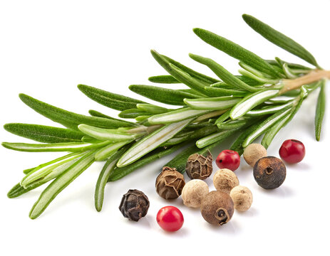 Rosmarin umd Pefferk&ouml;rner isoliert auf wei&szlig;en Hintergrund, Freisteller 