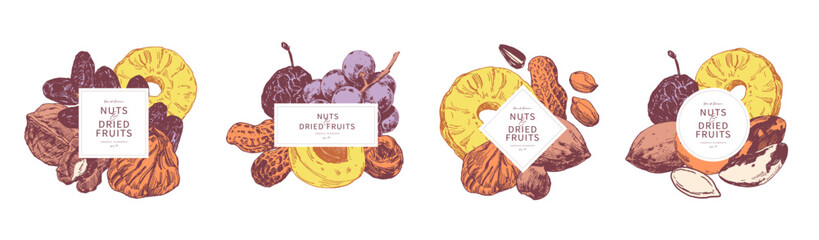 Assorted nuts and dried fruits arranged in groups. Hand drawn illustrations, frame  templates