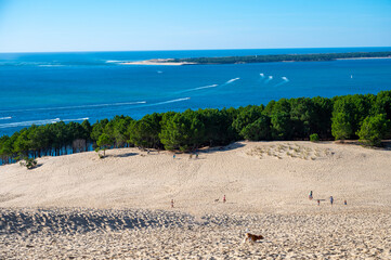 View from Dune of Pilat tallest sand dune in Europe located in La Teste-de-Buch in Arcachon Bay area, France southwest of Bordeaux along France's Atlantic coastline