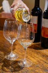 Tasting of sweet dessert Sauternes wines in old wine domain on Sauternes vineyards in Barsac village affected by Botrytis cinerea noble rot,  Bordeaux, France