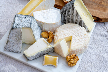French cheeses collection, Perail les Buissieres sheep cheese, neufchatel cow milk cheese, tomme de...