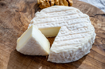 Cheese collection, French Perail les Buissieres cheese made from sheep milk from Aveyron, France...