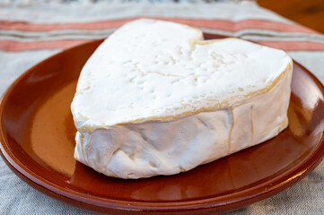 Cheese collection, French cheese from Normandy region, heart-shaped neufchatel close up