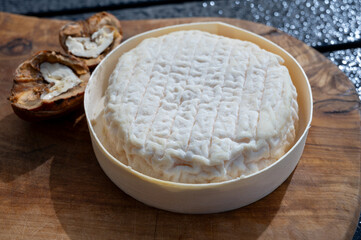 Cheese collection, French Perail let Buissieres cheese made from sheep milk from Aveyron, France close up