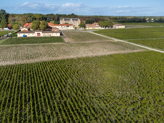 Aerial view on left bank of Gironde Estuary with green vineyards with red Cabernet Sauvignon grape...