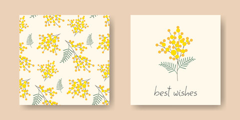 Naklejka premium Set of greeting cards. Cute branches Mimosa bouquet. Spring simple floral flat design background. Template card, invitation, poster. Best wishes hand lettering