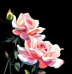 Gorgeous Pink roses and green leaves composition. Realistic bouquet vector illustration isolated on black background. Floral template for poster, greeting cards, wedding invitations.