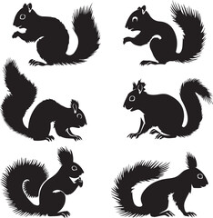 Set of Squirrel animal black silhouettes 
