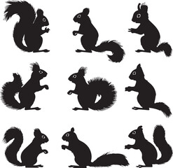 Set of Squirrel animal black silhouettes 