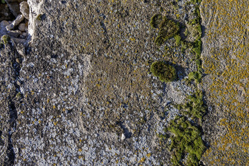 A cement surface with moss, stains and broken stones