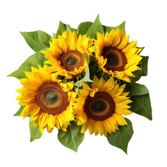 Obraz premium Bouquet of sunflowers isolated on white or transparent background