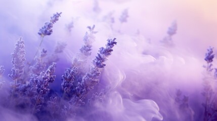 Lavender Color Fog Background