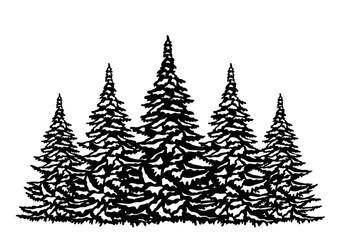 Five snowy fir trees, forest, Christmas trees