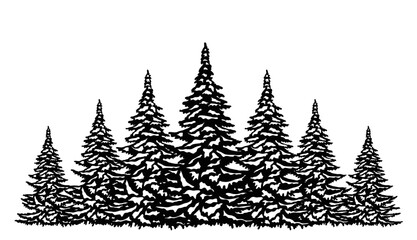 Seven snow-covered fir trees, forest, Christmas trees
