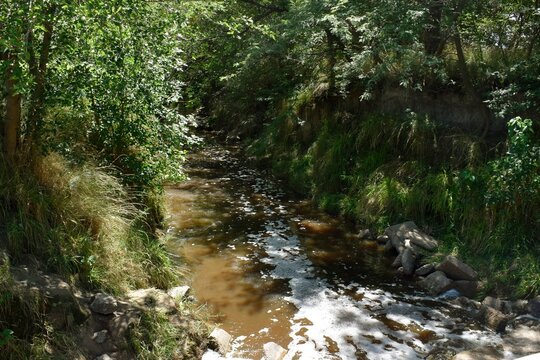 arroyo