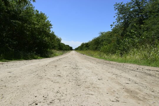 camino