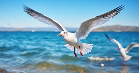 Fototapeta na wymiar White Seagulls in Flight Over the Whispering Waves of the Sea